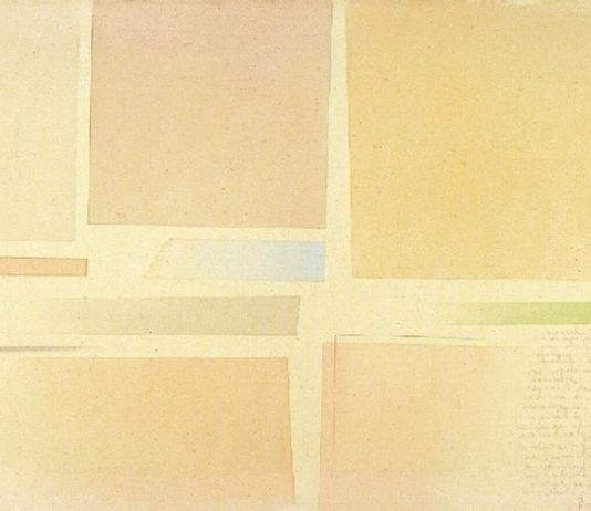 Riccardo Guarneri – Il campo delle trasparenze