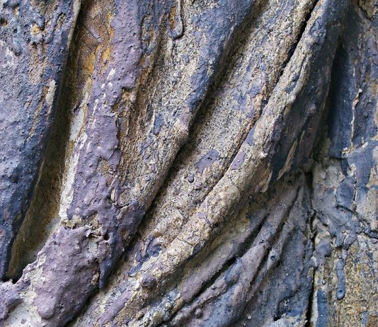 Vittorio Bellini – Il dolore, dopo