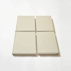 As you enter the exhibition, you consider this a group show by an artist you don’t know by the name of Mr. Rossi