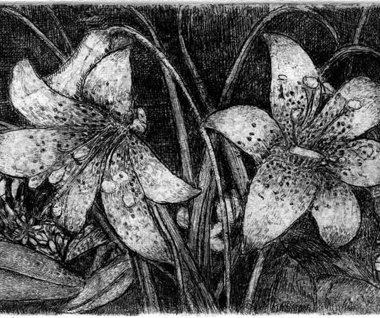 Danilo Montini – Sboccia la primavera nelle incisioni