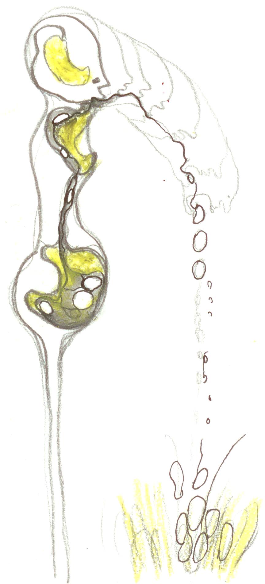 Giulia Bonora – Punto di vista: personalehttps://www.exibart.com/repository/media/eventi/2009/03/giulia-bonora-8211-punto-di-vista-personale.jpg