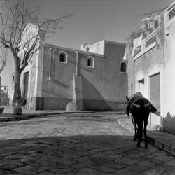 Pietro Donzelli – Verso Sud