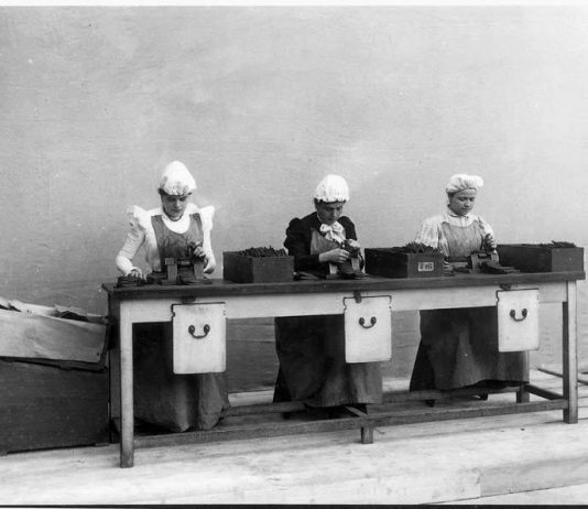 Posa di Lavoro. Donne al lavoro nelle immagini degli Archivi Alinari