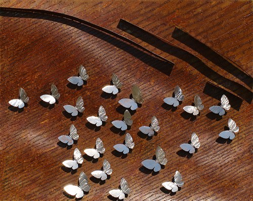 Andrea Dami – Il collezionista di farfallehttps://www.exibart.com/repository/media/eventi/2009/04/andrea-dami-8211-il-collezionista-di-farfalle.jpg