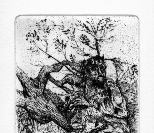 Caterina Camporesi & Franco Palazzo – Solchi e nodi nelle dimore di Athena Caterina Camporesi & Franco Palazzo – Solchi e nodi nelle dimore di Athena