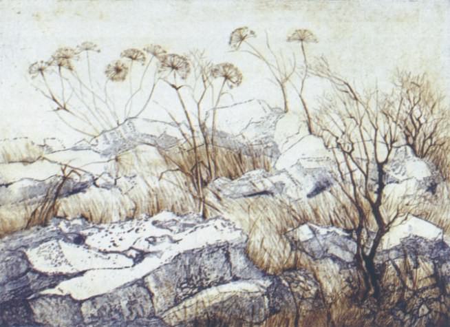 Mirella Schott Sbisà – Pietre, muretti e case, prati, sentieri e piante, sull’Altopianohttps://www.exibart.com/repository/media/eventi/2009/04/mirella-schott-sbisà-8211-pietre-muretti-e-case-prati-sentieri-e-piante-sull8217altopiano.jpg