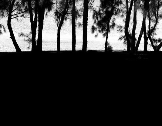 Peter Schlör – A selection of new works