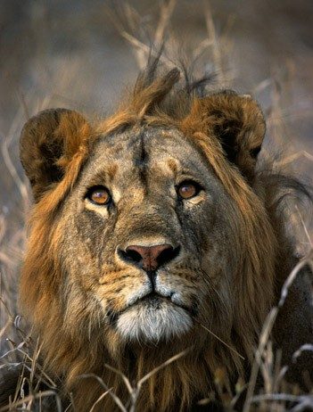 Alessandra Soresina – La mia Africa: immagini e parole