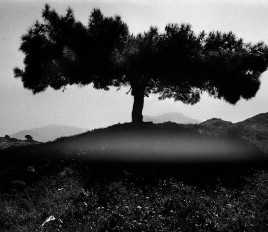 Alex Majoli – Leros