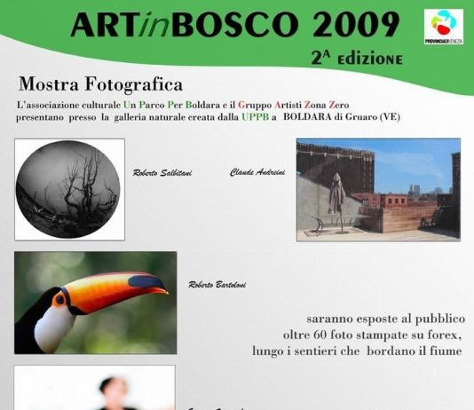Art in Bosco