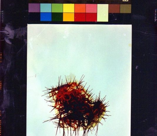 Bruni Lisi – Corpi estranei