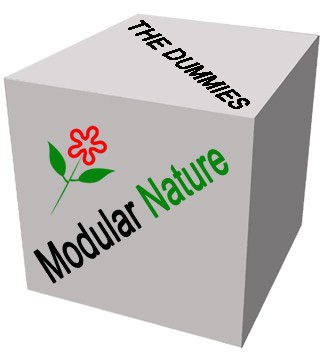 Dummies – Modular Nature