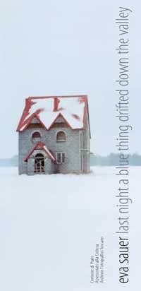 Eva Sauer – Last night a blue thing drifted down the valley