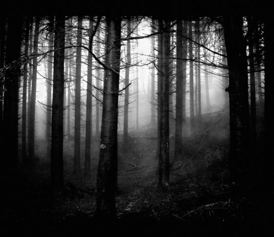 Francesca Risaliti – Tra cielo e terra, ritorno alle origini