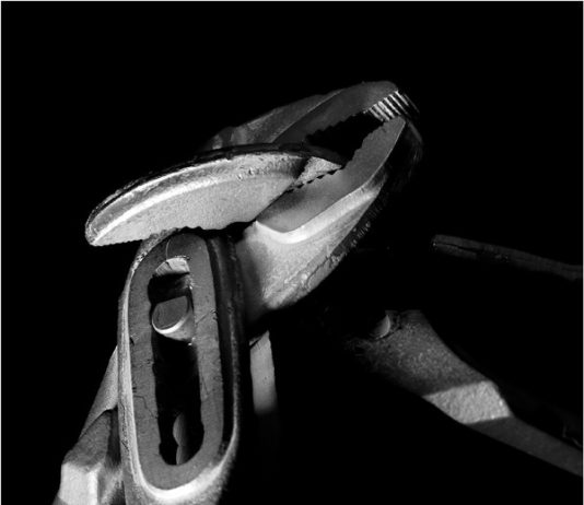 Francesco Saverio Adamo – The flower, the plier, the nut Francesco Saverio Adamo – The flower, the plier, the nut