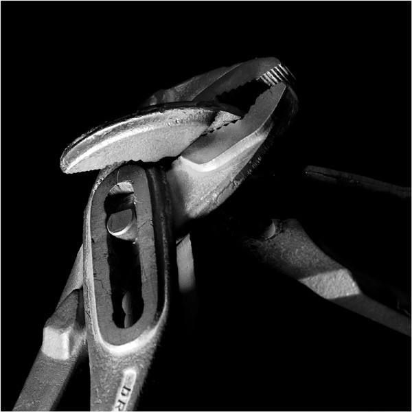 Francesco Saverio Adamo – The flower, the plier, the nuthttps://www.exibart.com/repository/media/eventi/2009/05/francesco-saverio-adamo-8211-the-flower-the-plier-the-nut.jpg