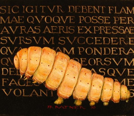 John Ratner – De rerum natura