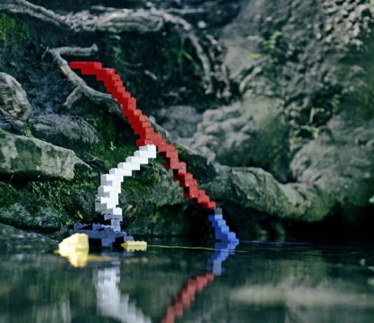 C’era una volta…Un bosco oltre la porta rossa C’era una volta…Un bosco oltre la porta rossa