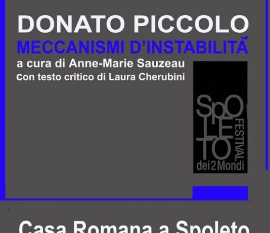 Donato Piccolo – Meccanismi d’instabilità