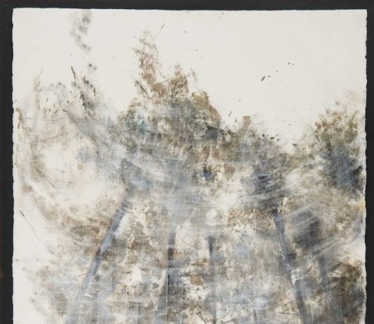 Federica Amichetti – Paesaggi dell’anima