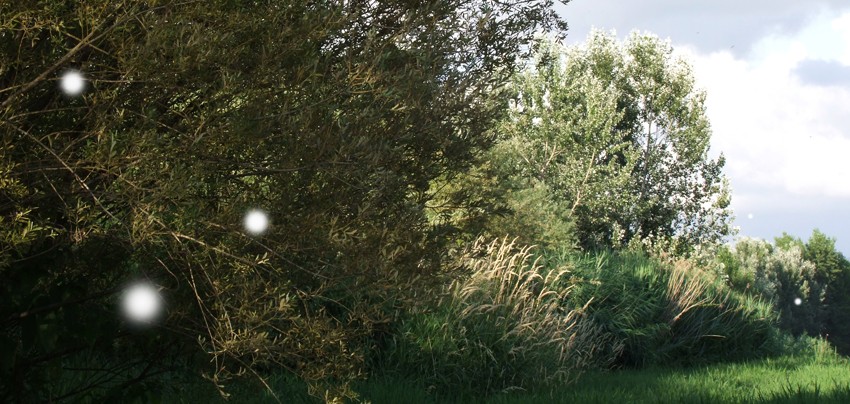 frigo+ – Portrait of a landscape as a young myday in junehttps://www.exibart.com/repository/media/eventi/2009/06/frigo-8211-portrait-of-a-landscape-as-a-young-myday-in-june.jpg