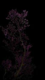 Giovanni Ozzola – Rencontres lors d’une promenade nocturne