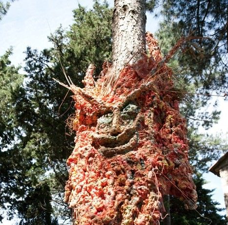 Giovanni Spiniello – L’albero vagabondo e i Briganti della Libertà