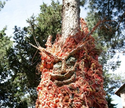 Giovanni Spiniello – L’albero vagabondo, il Guardiano della Montagna
