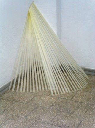 Katia Berlantini – L’erba del vicino