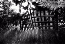 MArteLive lo spettacolo totale MArteLive lo spettacolo totale