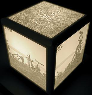 Sandford&Gosti – La sposa indiana