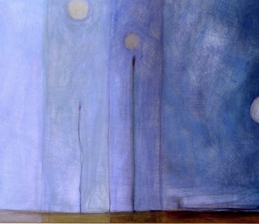 Silvia Buosi – Piume d’acqua, pinne d’aria