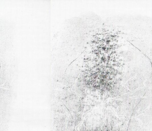 Alfio Pappalardo – Il fiore di Perla Alfio Pappalardo – Il fiore di Perla