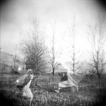 Carlotta Destro – Disegno di un cosmo