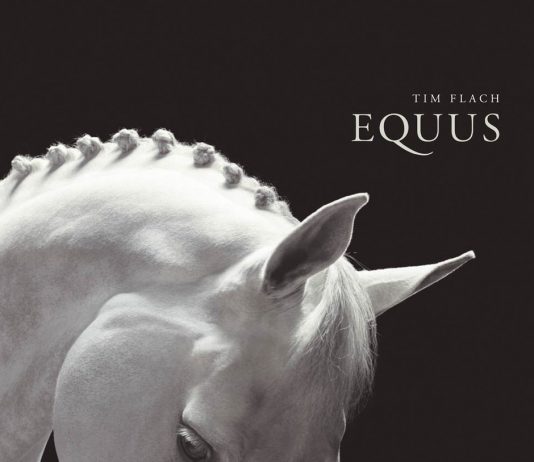 Il Sogno del Centauro – Tim Flach Il Sogno del Centauro – Tim Flach