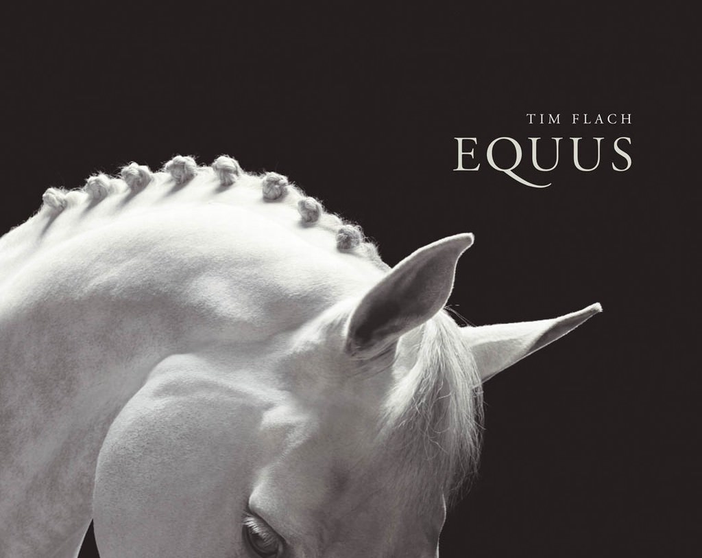 Il Sogno del Centauro – Tim Flachhttps://www.exibart.com/repository/media/eventi/2009/07/il-sogno-del-centauro-8211-tim-flach.jpg