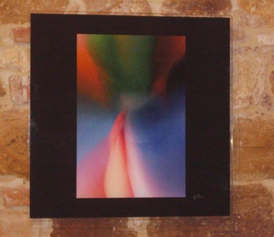 Livio Picotti – Neumi visivi