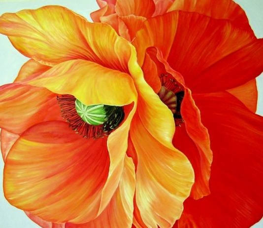 Lumetta – Naturalia. Magnificando Natura Lumetta – Naturalia. Magnificando Natura