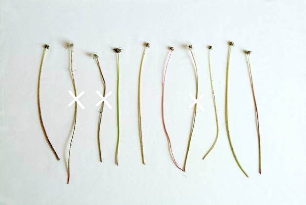 Maria Bruni – desìderi|desidèrihttps://www.exibart.com/repository/media/eventi/2009/07/maria-bruni-8211-desìderidesidèri.jpg