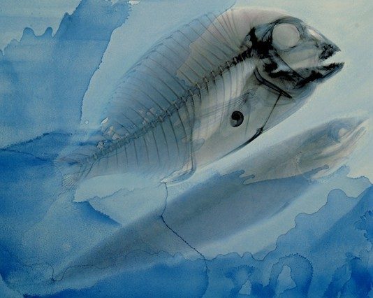 Renato Meneghetti – Vedere oltre: Al di là del mare