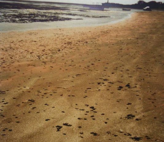 Sabbie d’Oro. Fotografia astratta