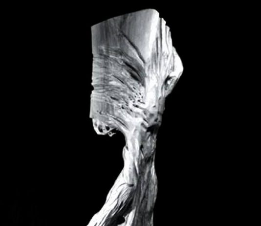 Stefano Volpe – Vegetale armato Stefano Volpe – Vegetale armato