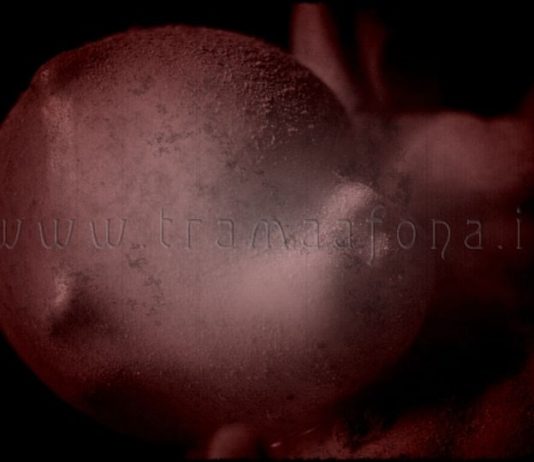 Trama afonA – Circumrubere