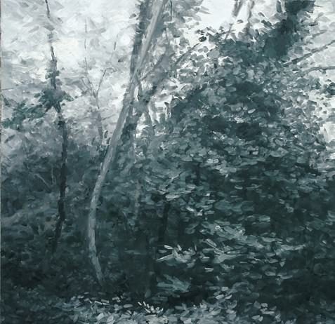 Claudio Carli – La belle au bois