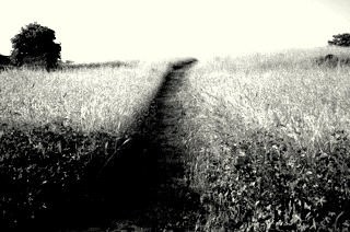 Francesca De Meis – Road to nowhere Francesca De Meis – Road to nowhere