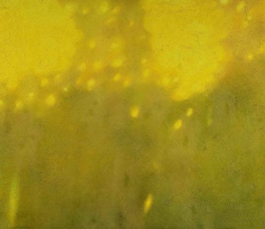 Francesco Stefanini – Destinazioni provvisorie