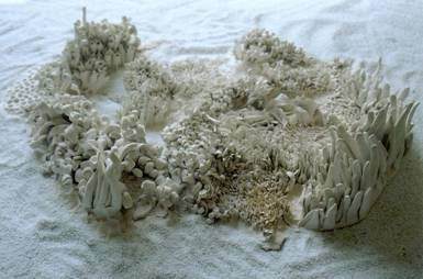 Nadia Merica Formentini – Domandare ?