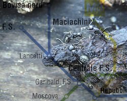 Caos. il Caos sempre e ovunque