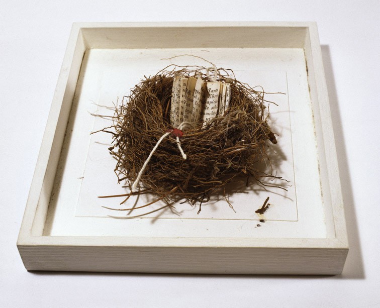 Elisabetta Gut – Semi e segnihttps://www.exibart.com/repository/media/eventi/2009/09/elisabetta-gut-8211-semi-e-segni.jpg