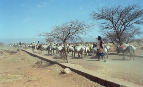 Mali – Il Sentiero degli Asinelli